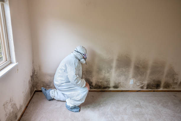 Atkins, AR Mold Remediation Company